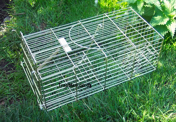 humane rat trap